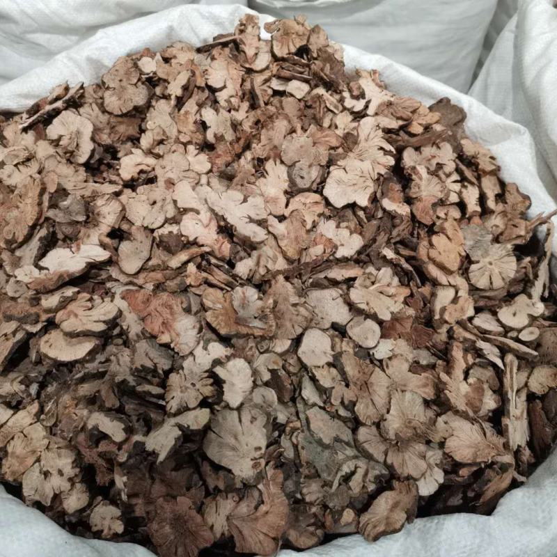 批发现货金荞麦开金锁苦荞头散装无硫诚信经营