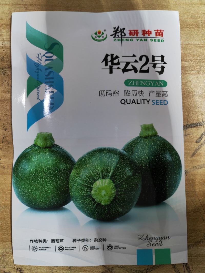 【精】华云2号西葫芦种子圆形西葫芦种子10g