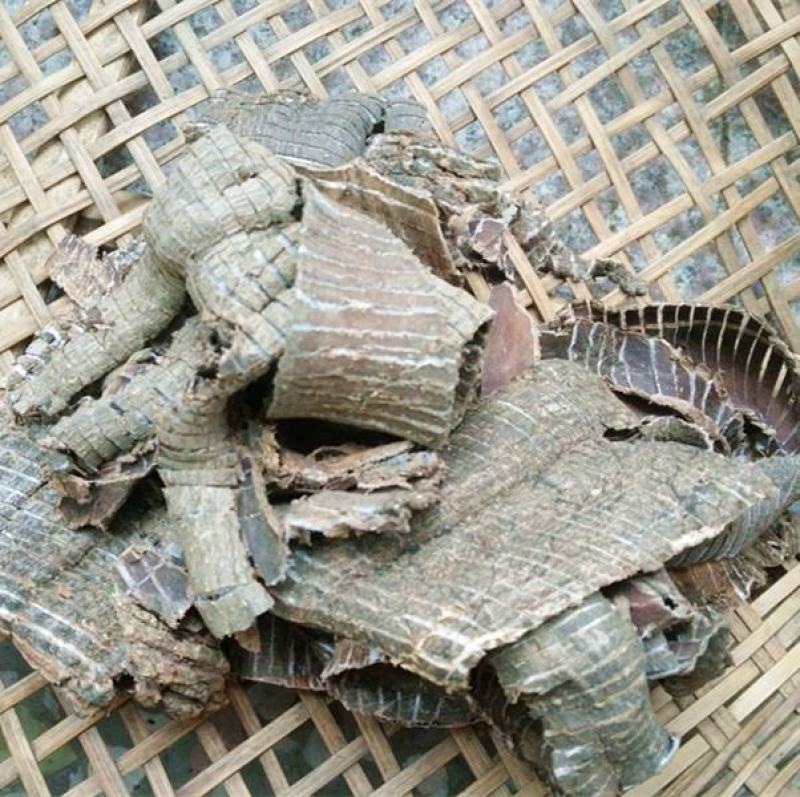 批发现货杜仲选装厚皮杜仲规格齐全新货泡酒料大全