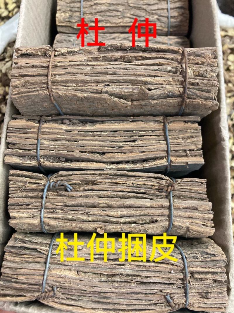 批发现货杜仲选装厚皮杜仲规格齐全新货泡酒料大全