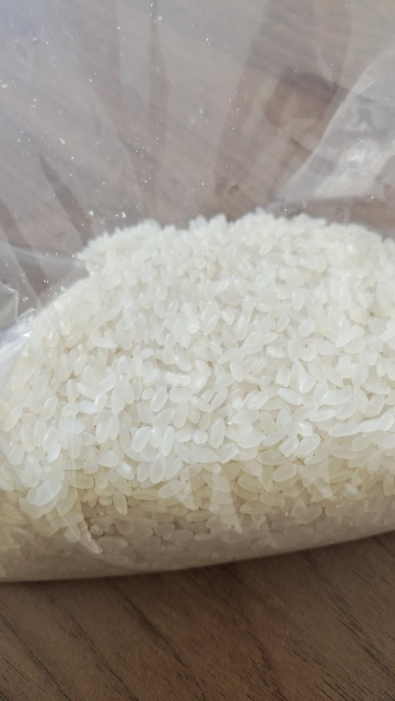 五常长粒香大米