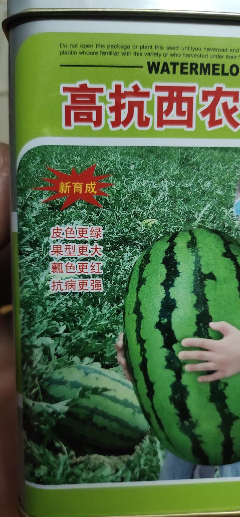 高抗西农八号，晚熟，大红瓤，枯萎病，炭疽病。