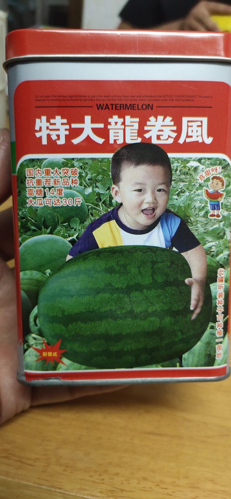 龙卷风西瓜种子。耐贮运，对枯萎病、炭疽病抗
