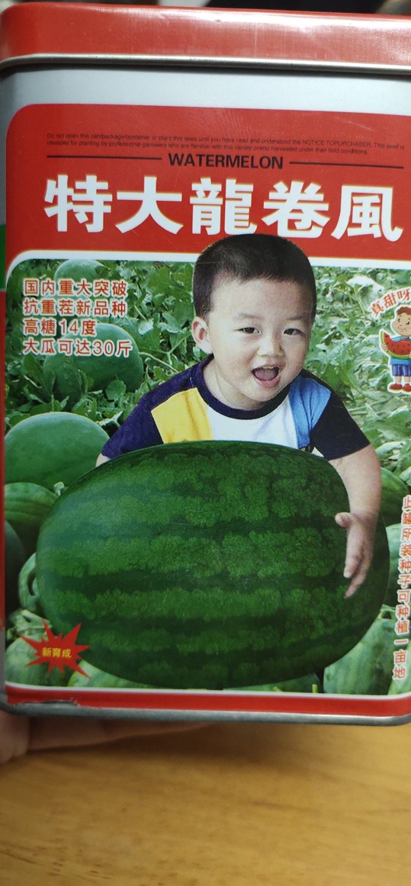 龙卷风西瓜种子。耐贮运，对枯萎病、炭疽病抗