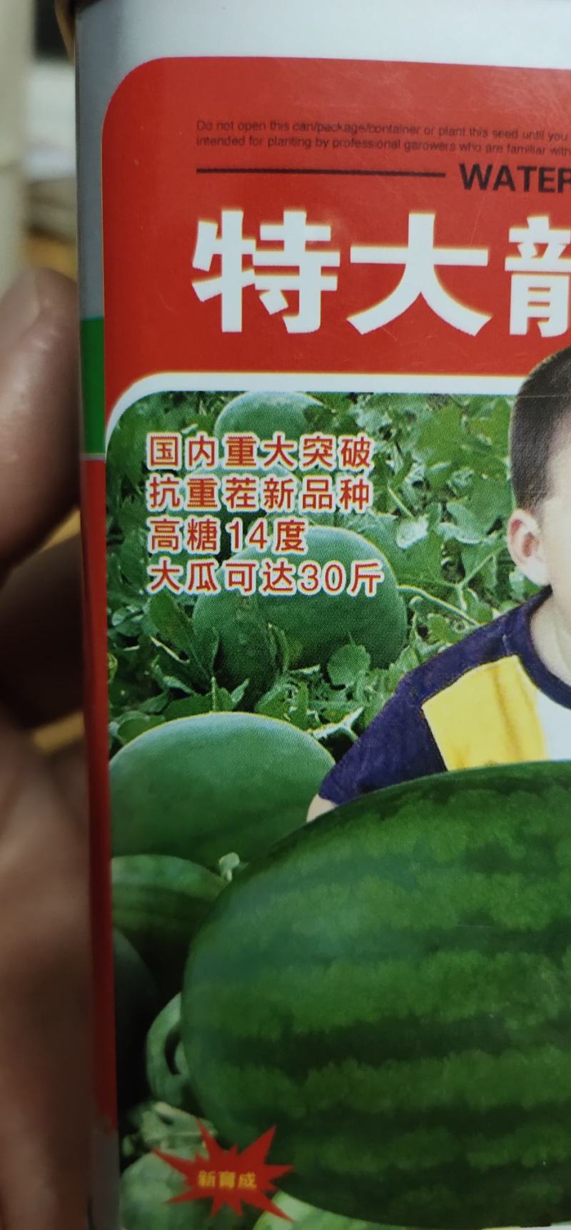 龙卷风西瓜种子。耐贮运，对枯萎病、炭疽病抗