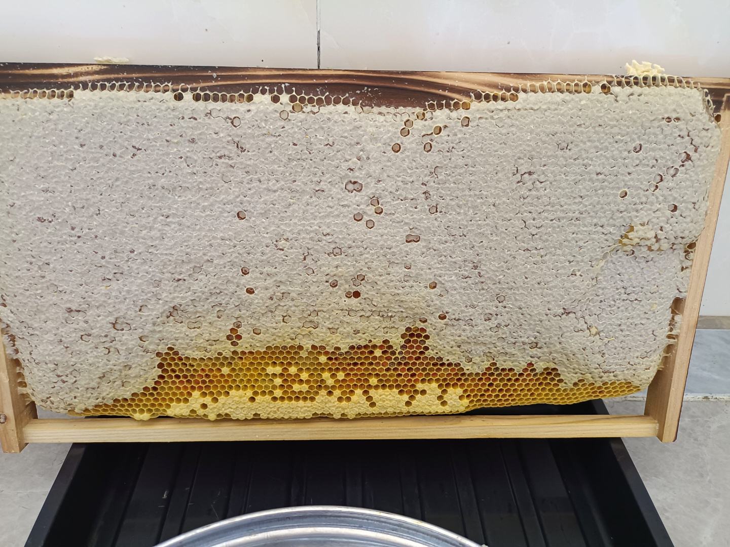 一块晶莹剔透的蜂巢蜜,呈现出淡金色至琥珀色的光泽,六边形蜂房结构清晰可见,表面有部分白色蜂蜡封盖,背景为木质托盘和散落的花瓣,体现自然原生态风格 蜂巢蜜特写镜头