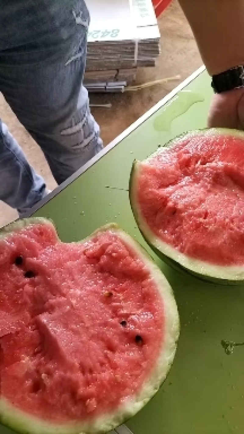 安徽美都西瓜，头茬鲜瓜，含糖量高，九成熟，保证质量