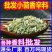 小茴香香料调料一站式采购甘肃绿色小茴香批发香料大全