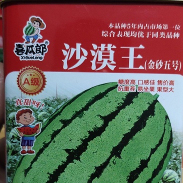 沙漠王西瓜种子，