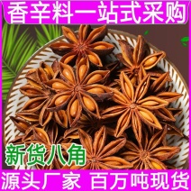 大红八角广西新货全足干春花八角产地直发八角片香料货源