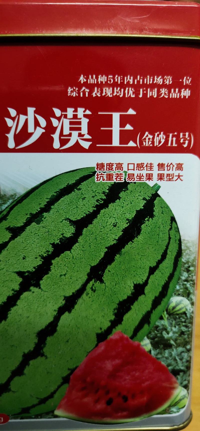 沙漠王西瓜种子，