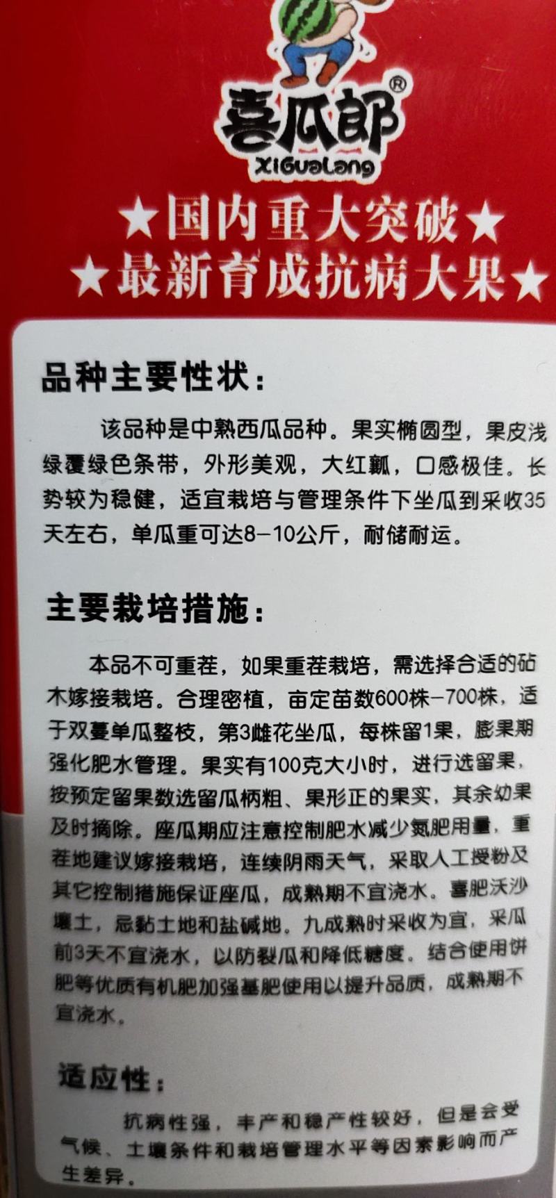 沙漠王西瓜种子，