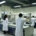 狗粮猫粮宠物食品生产厂家诚信经营保证质量全国招商一件代发