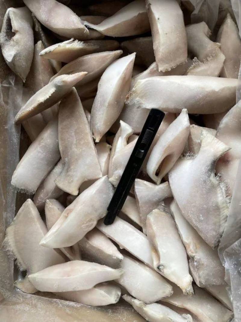 角鲳鱼块金鲳鱼片昌鱼段10公斤量大询价
