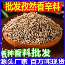 新货孜然颗粒供应香辛料一站式采购散装孜然粉