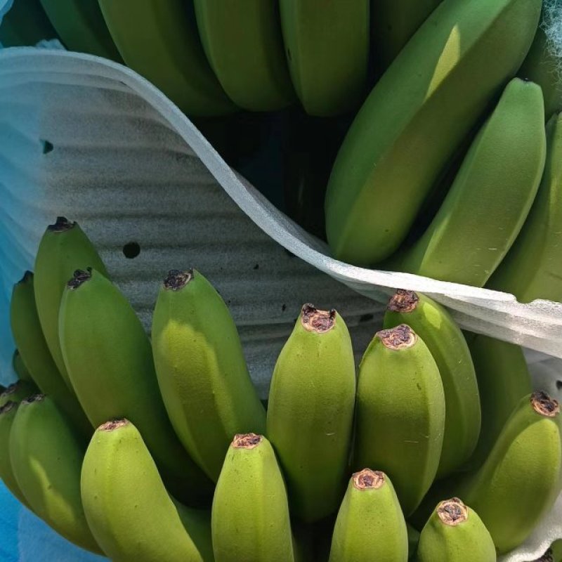 香蕉