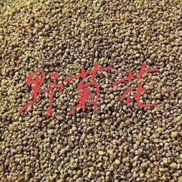 菊花茶山菊花茶