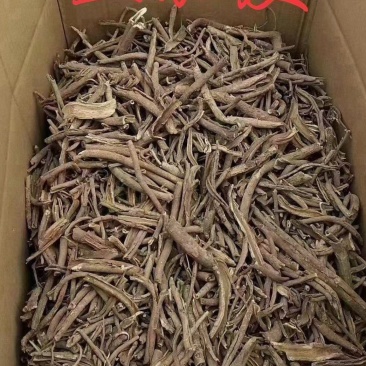 五加皮
