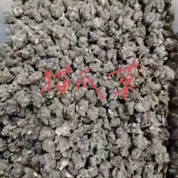 猫爪草