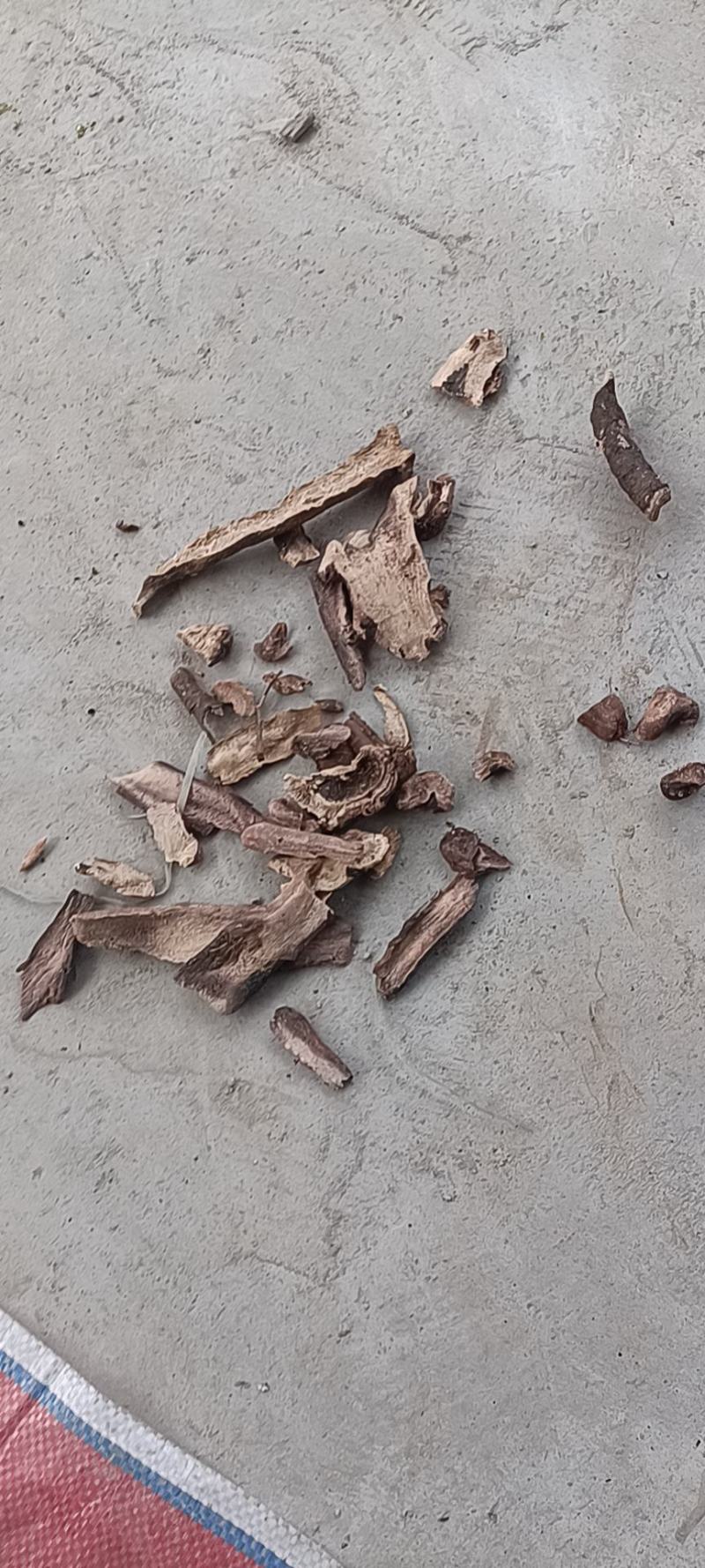 白勺熟狗头片包含量无流白勺