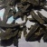 玄参片中药材正宗黑玄参片正品无硫新货天然特级玄参茶玄参批