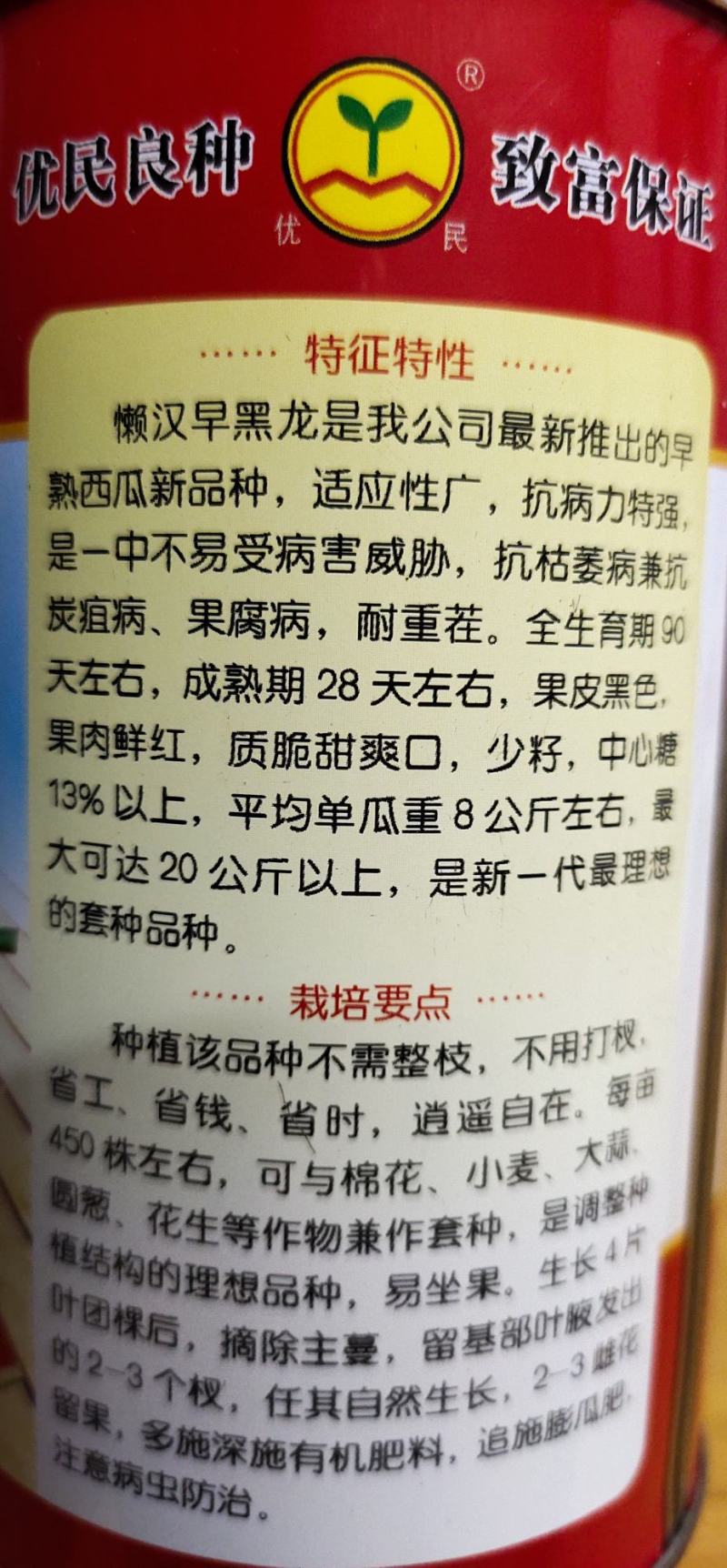 懒汉早黑龙西瓜种子，早熟抗病高糖，纯黑，