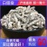 白僵蚕中药材白僵虫天虫白僵蚕粉炒僵蚕僵蚕僵虫