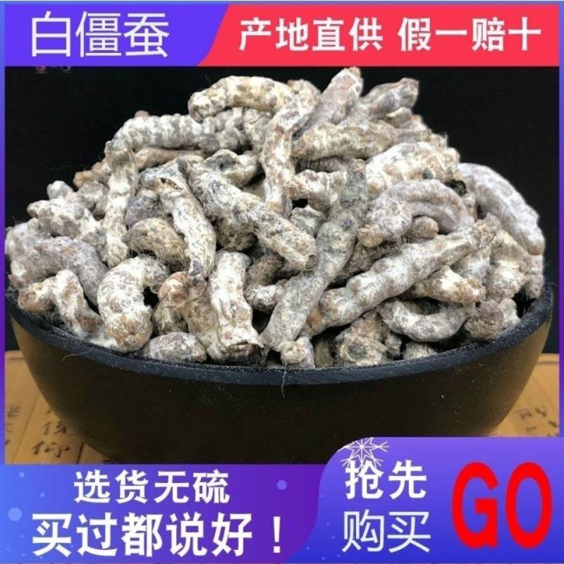 白僵蚕中药材白僵虫天虫白僵蚕粉炒僵蚕僵蚕僵虫
