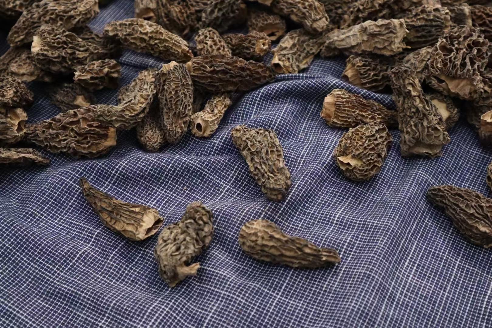 羊肚菌营养成分表