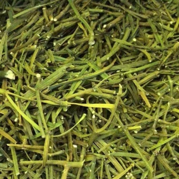 寄生草螃蟹脚茶精茶茸野生枫寄生槲寄生
