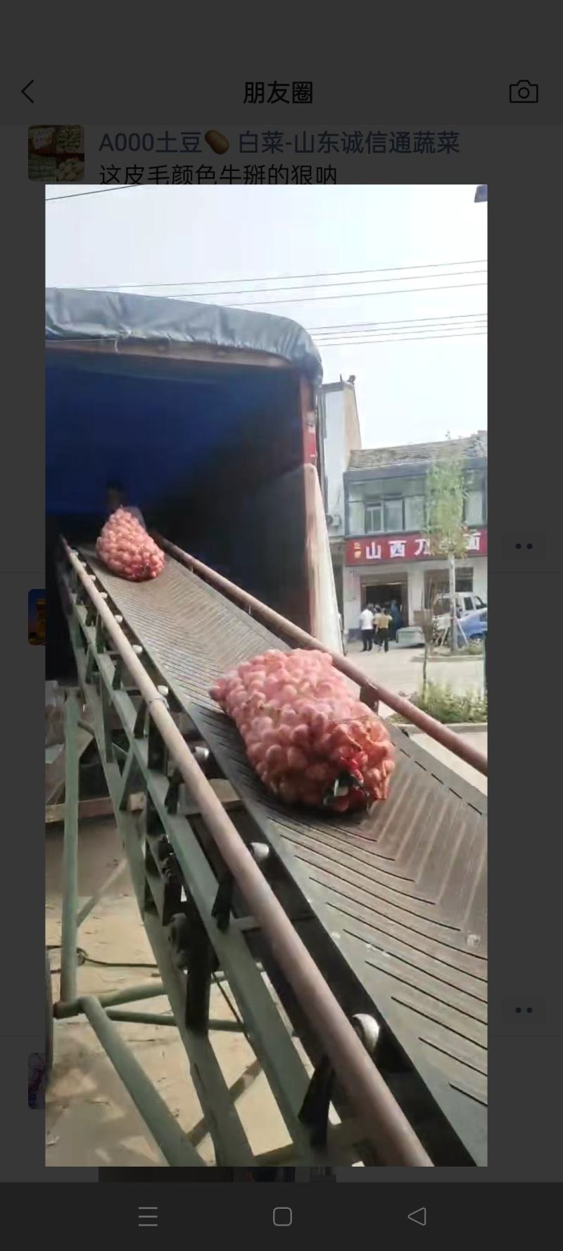 淮阳扒皮蒜，毛蒜，把子蒜，大量上市中，需要的可以联系我