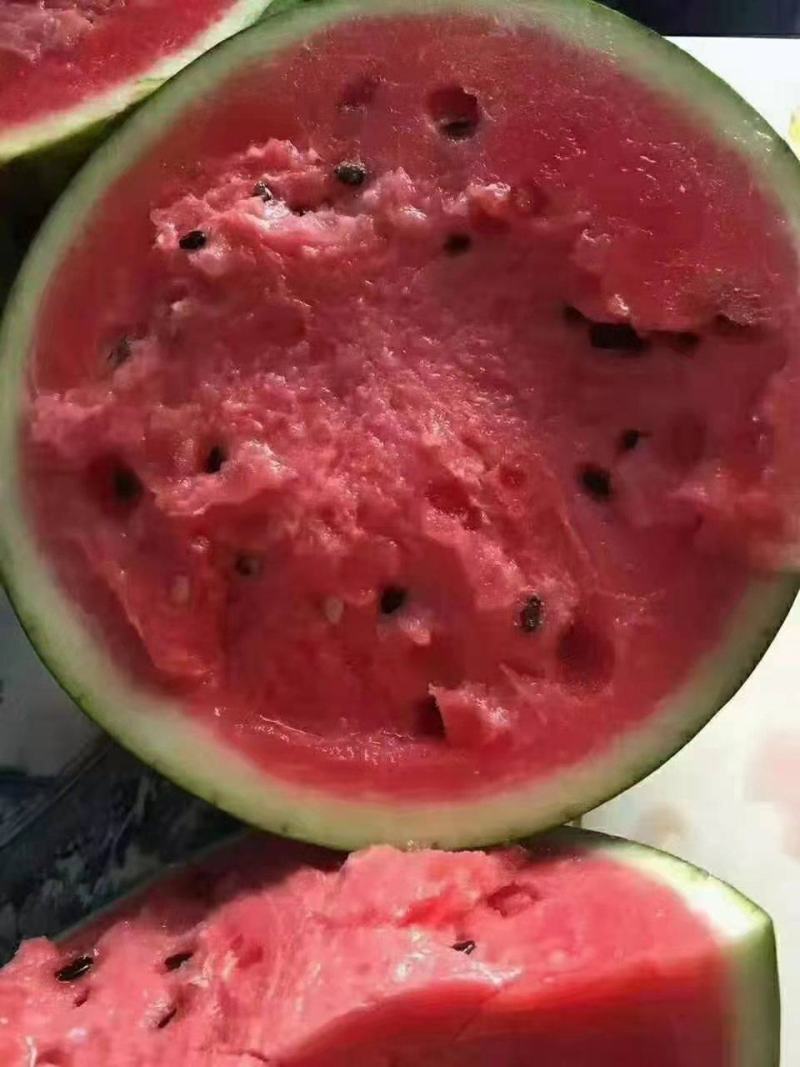 精品甜王西瓜，麒麟美都西瓜，保熟包质量，产地一手货