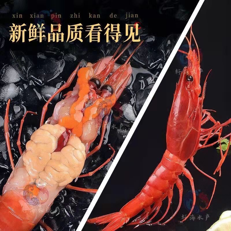 红魔虾海捕鲜活速冻日料刺身新鲜大虾红魔虾批发牡丹虾