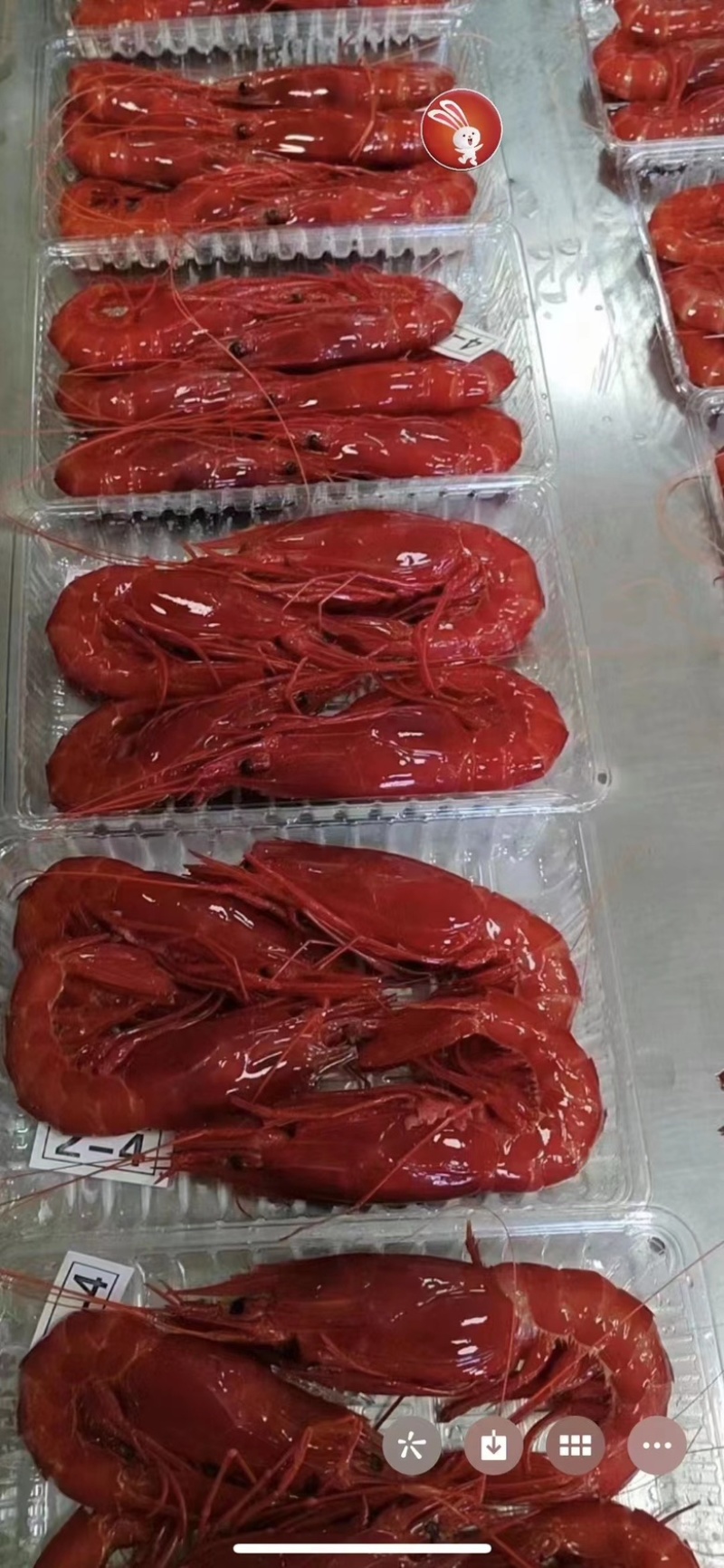 红魔虾海捕鲜活速冻日料刺身新鲜大虾红魔虾批发牡丹虾