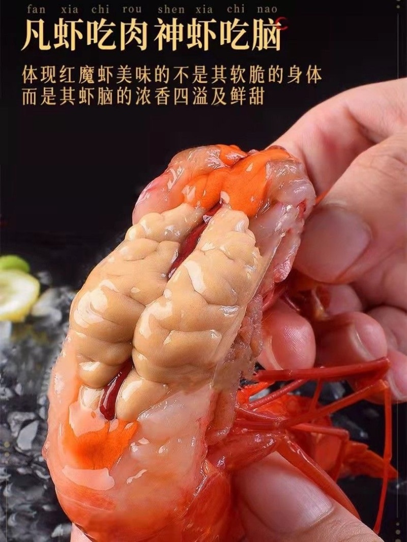 红魔虾海捕鲜活速冻日料刺身新鲜大虾红魔虾批发牡丹虾