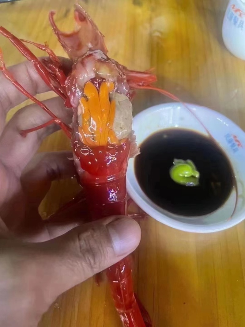 红魔虾海捕鲜活速冻日料刺身新鲜大虾红魔虾批发牡丹虾