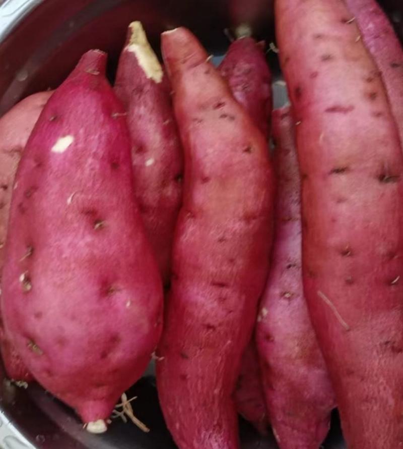 【热卖中】高糸14红薯（桥头地瓜）基地直发可视频看货