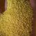 大黄米批发东北内蒙粘糕米去壳黍子米包粽子米粘黄米