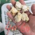 扇贝肉干冰无泡水无泡药扇贝栉孔扇贝肉