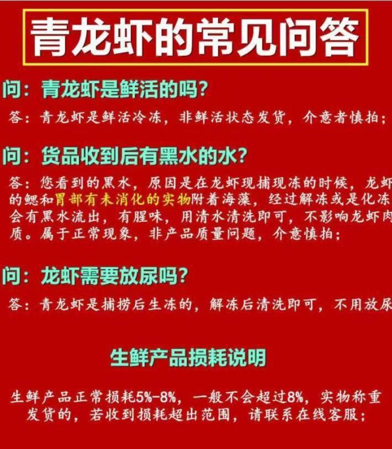 小青龙缺氧活冻鲜活大龙虾澳龙锦绣花龙虾活冻龙虾活体冷冻