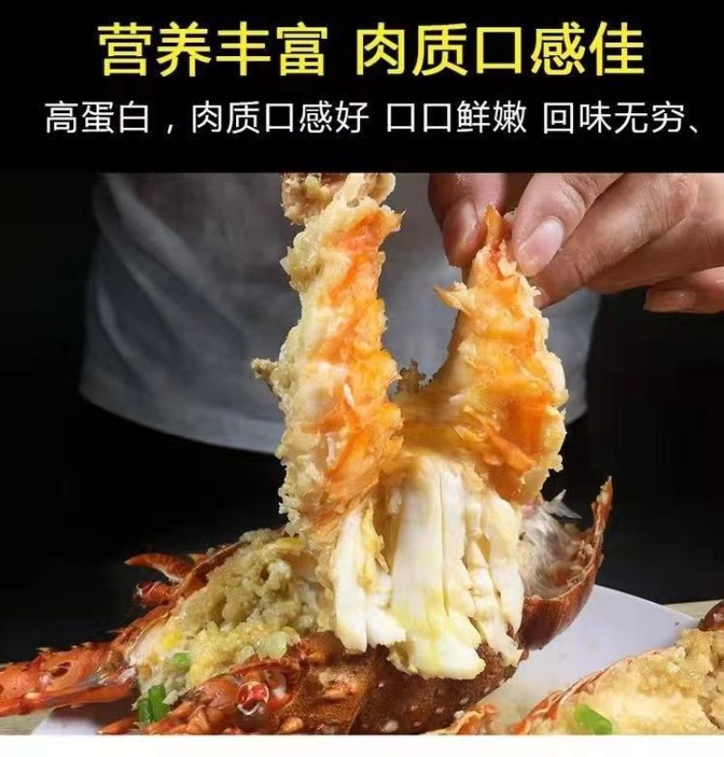 小青龙缺氧活冻鲜活大龙虾澳龙锦绣花龙虾活冻龙虾活体冷冻