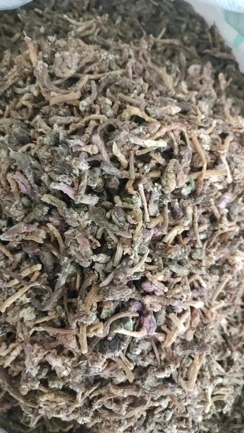冬花款冬一手货源长期供应另经营其他药材千余种