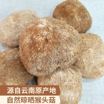 批发现货猴头菇古田无硫猴头菇新货猴姑饼干原料