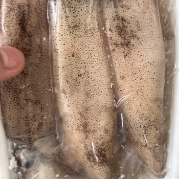 活冻小管烧烤饭店团购每盒5-7个东山岛发货