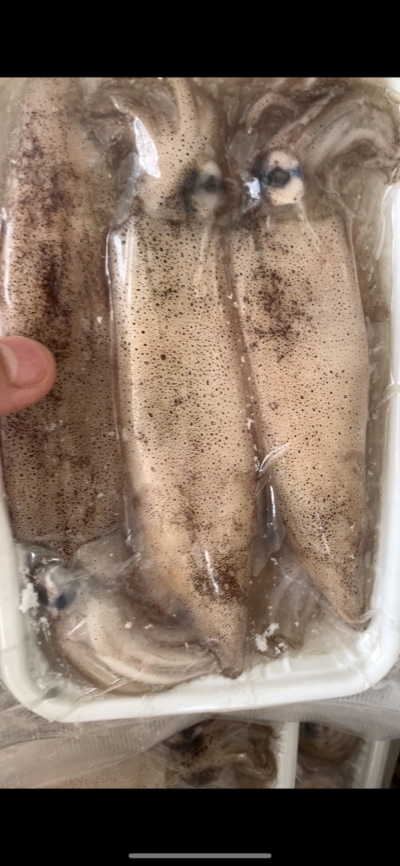活冻小管烧烤饭店团购每盒5-7个东山岛发货