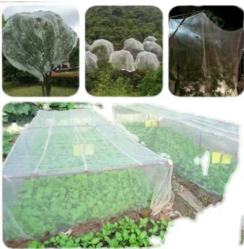 防虫网大棚专用果树网罩蔬菜防虫网养殖厂防蚊网猪栏围网家用