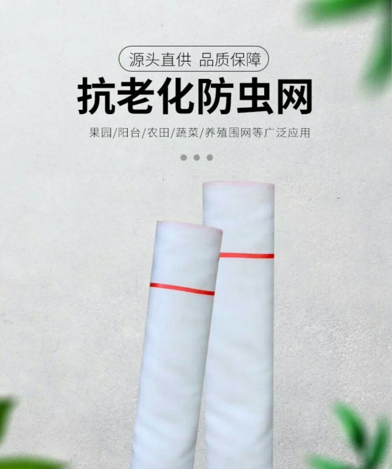 防虫网大棚专用果树网罩蔬菜防虫网养殖厂防蚊网猪栏围网家用