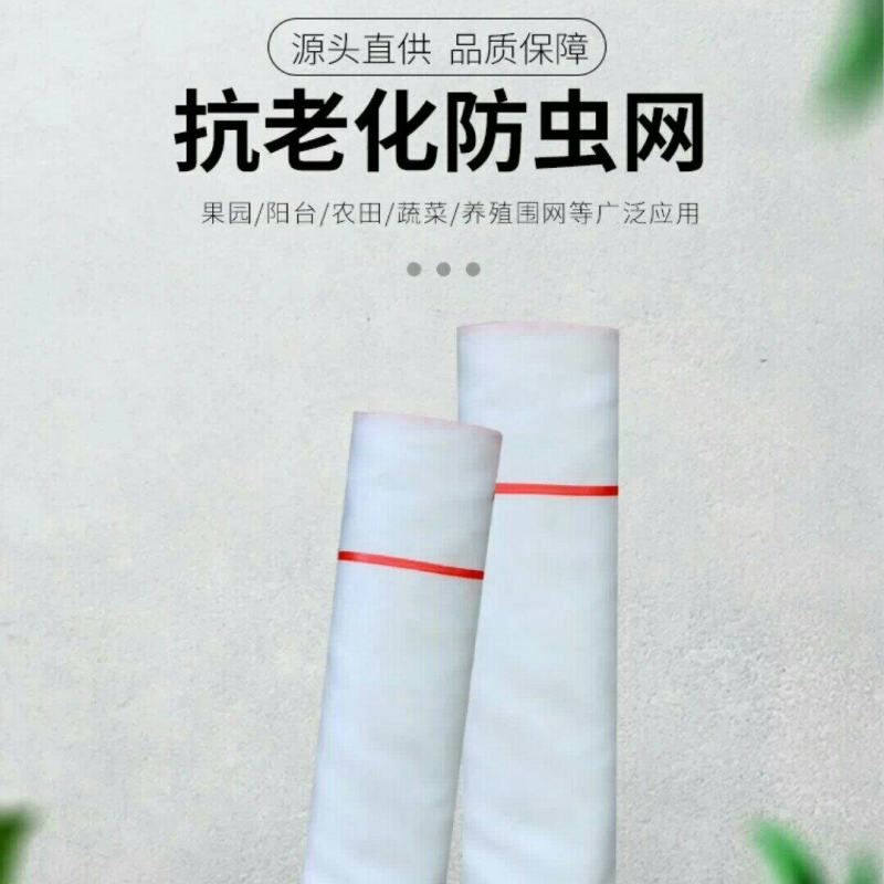 抗老化防虫网大棚专用农用果园植物花卉防虫网罩养猪场防蝇