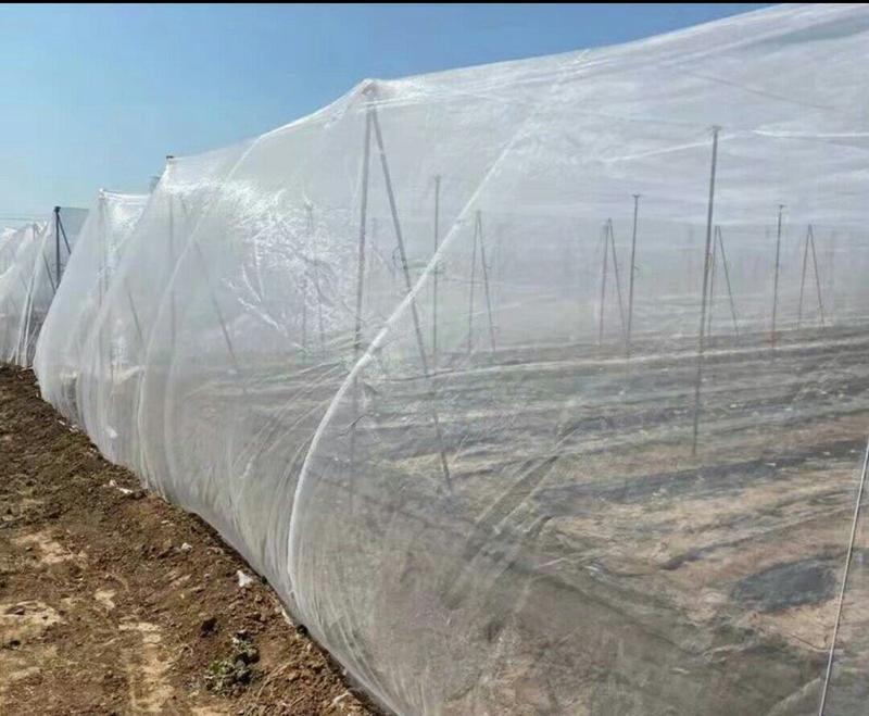 抗老化防虫网大棚专用农用果园植物花卉防虫网罩养猪场防蝇