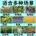 抗老化防虫网大棚专用农用果园植物花卉防虫网罩养猪场防蝇